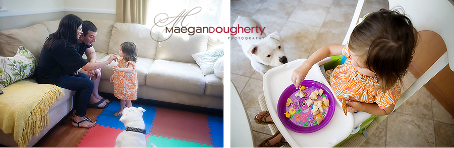 Dog Looking at Little Girl Eating Snack
