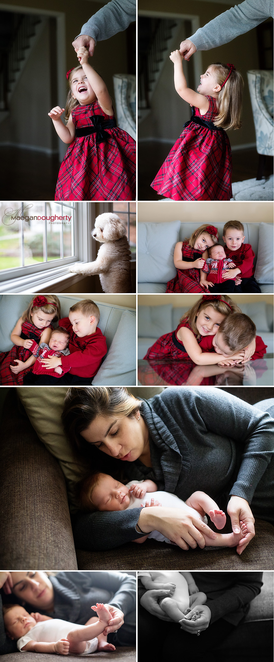 bergen county nj newborn photographer
